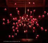 IMG_0178